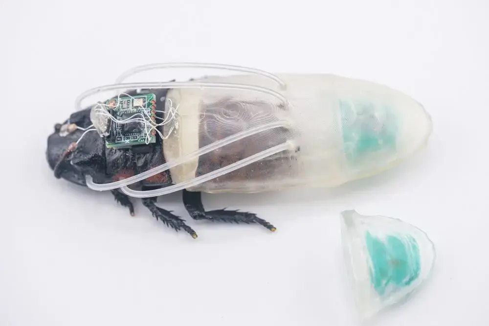 Oamenii de știință au creat un gândac cyborg cu control de la distanță imprimat în 3D, dotat cu camere IR